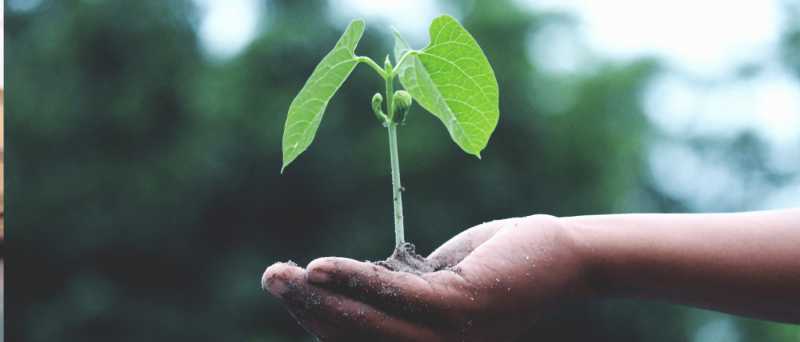 Changing Mindsets And Working On Growth