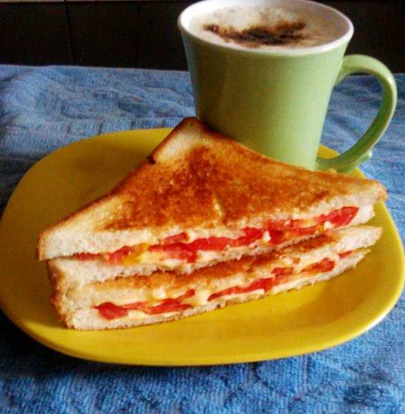 Cheese Tomato Sandwich