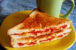 Cheese Tomato Sandwich