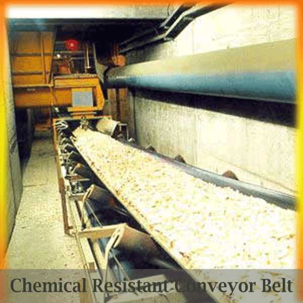 Chemical Resistant Conveyor Belt