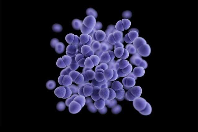 Chemical Synthesis Could Produce More Potent Antibiotics