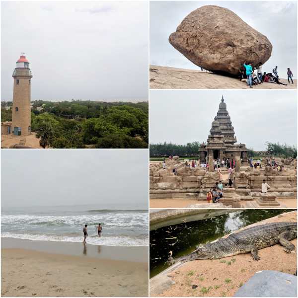 Chennai: A Visual Retreat Across Beaches, Temples, Animals And Churches