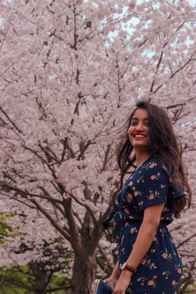 Cherry Blossoms, Toronto - The Jeromy Diaries