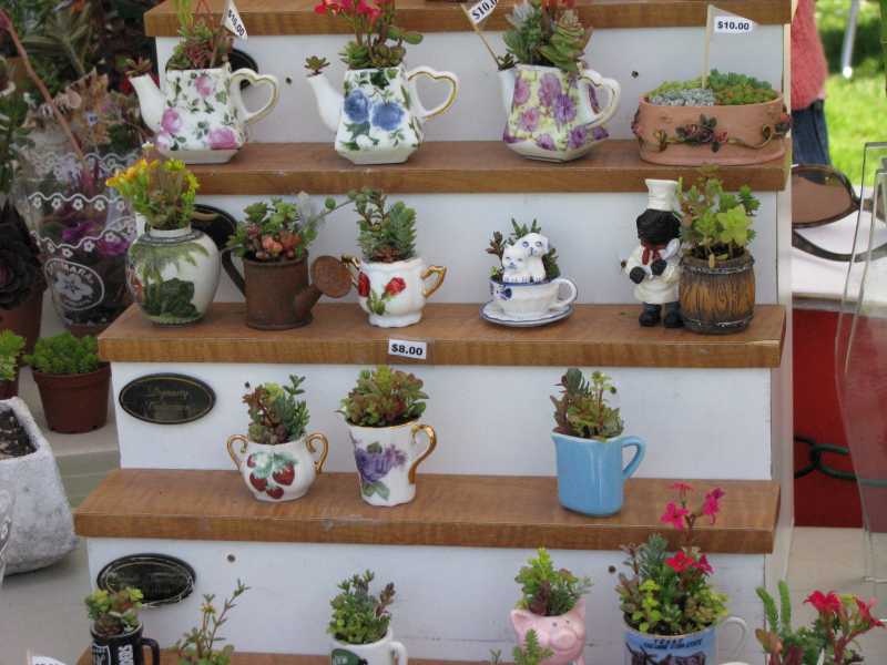 Cherry Blossom Festival - Part II