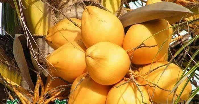 Childhood Memories...mmmmm...