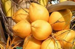 Childhood memories...mmmmm...