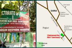 Chintamoni Kar Bird Sanctuary - City of Joy’s Little Secret Unveiled 