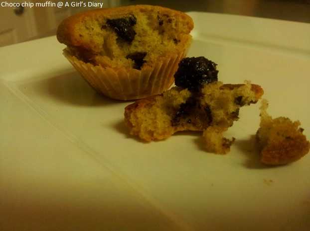 Choco Chip Muffin