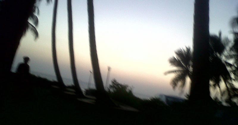 Chocolate Buckwheat Cake