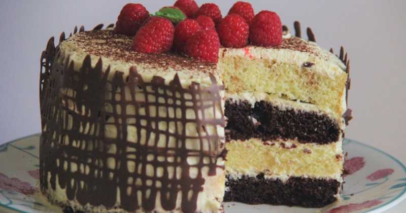 Chocolate Tiramisu Layer Cake 