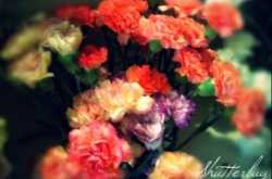 Choose to look at the bright side of life