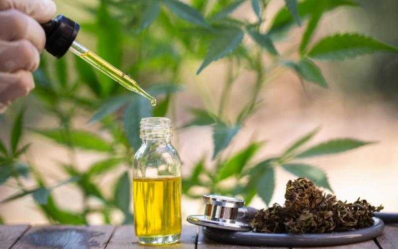 Choosing The Right CBD Oil: What To Look For