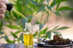 Choosing The Right CBD Oil: What to Look For