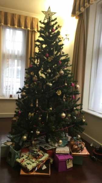 Christmassy Oat And Berry Smoothie