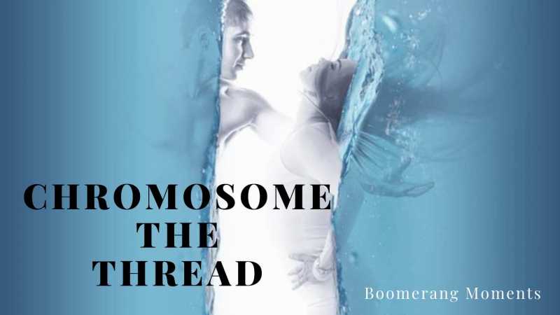 Chromosome The Thread - Boomerang Moments