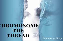 Chromosome the Thread - Boomerang Moments
