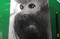 Chupacabra: The street dog