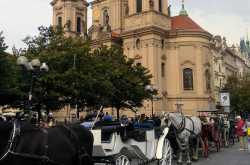 Cinderella Castle- Wordless Wednesday-18