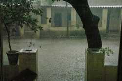 City Mental Asylum - Room No. 3 