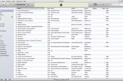 Cleaning the Playlist