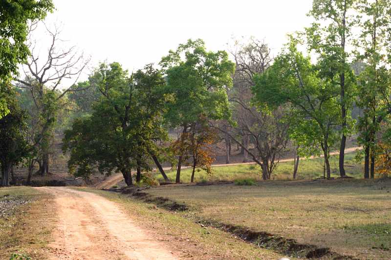 Close Encounter (of The Nth Kind)