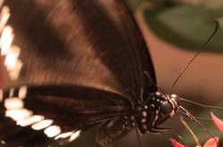 Close Up and Personal!