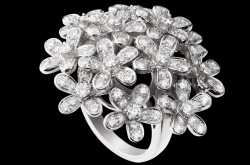 Cocktail Rings -She’s Got The Look!