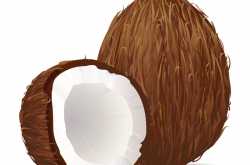 Coconutty about skincare