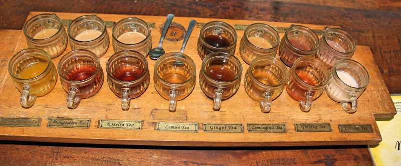 Coffee And Tea Tasting Experience In Bali | Roaming Pirates