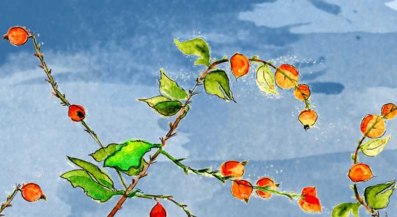 Coffee, Cardamom, Campfire, And Calmness At Hema Koota - Lonely Canopy Art & Travel