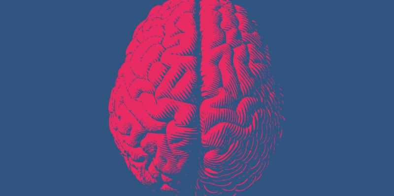 Cognitive Biases That Prevent Us From Building The Relationship Of Our Dreams