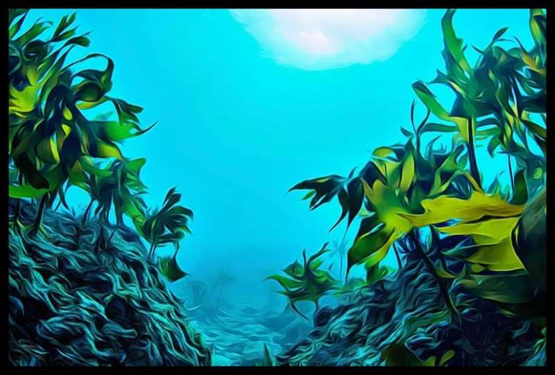 Collagen For Vegans Is Possible With Organic Marine Collagen Serum - Beauty And Fitness For Women