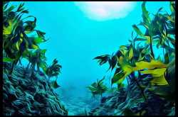 Collagen for Vegans is Possible with Organic Marine Collagen Serum - Beauty and Fitness for Women