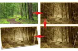 Colored Vintage Photo