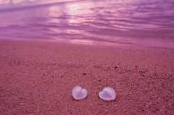 Colorful Beaches of the World!