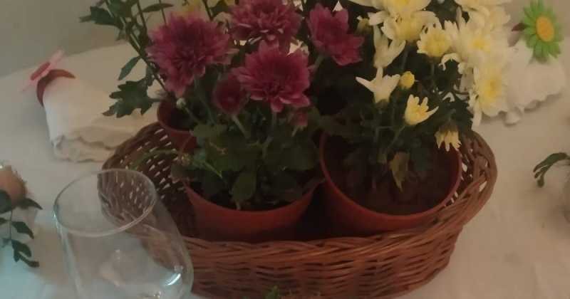 Colors Of Easter...:))