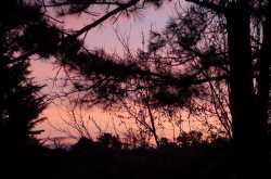 Colors in the Dark...