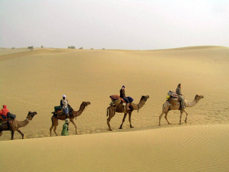 Come And Enjoy The Magnificent Things To Do In Jaisalmer!