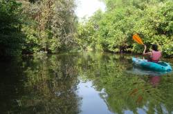 Come And Party To Your Heart’s Content -  Best Things To Do In Goa!