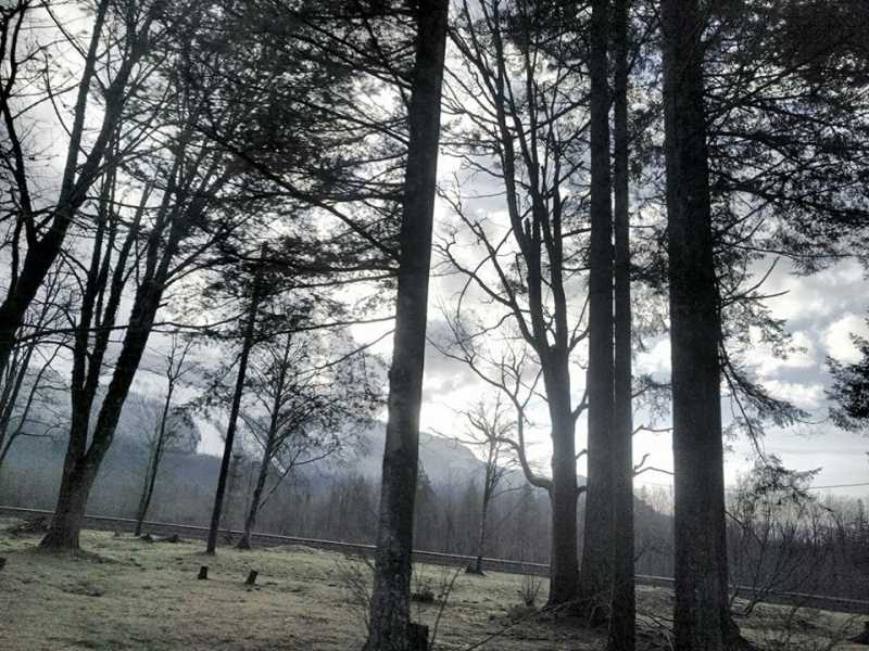 Come Winter Come - Left, Write, Left...