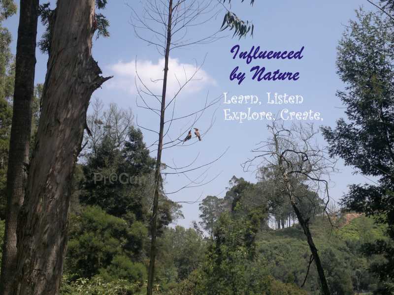 Come For A Walk With Me, In Hills.