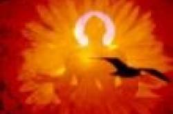 Comfort vs Happiness