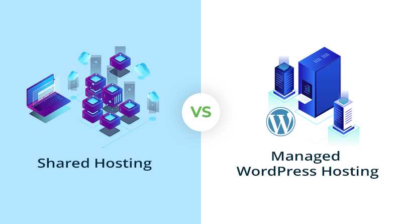 Comparison Between Shared Hosting & Managed WordPress Hosting - Instapkd