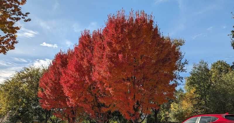 Competing For Color Space