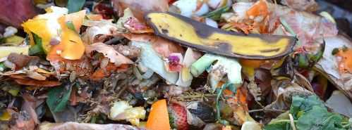 Composting For Beginners