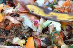 Composting For Beginners