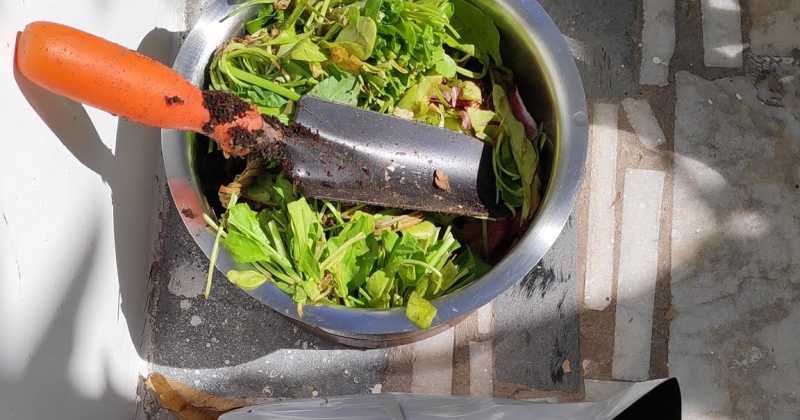 Composting Using Soil! Is This The Easiest Way? 