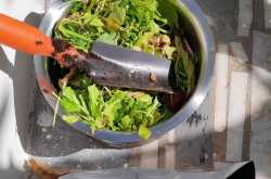 Composting using soil! Is this the easiest way? 