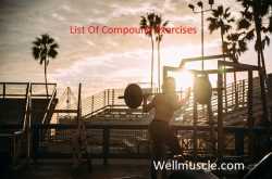 Compound Exercises list:15 Most effective Exercises For Muscle Building | WELLMUSCLE