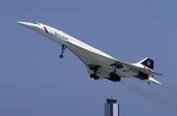 Concorde, digger wasps and sunk cost